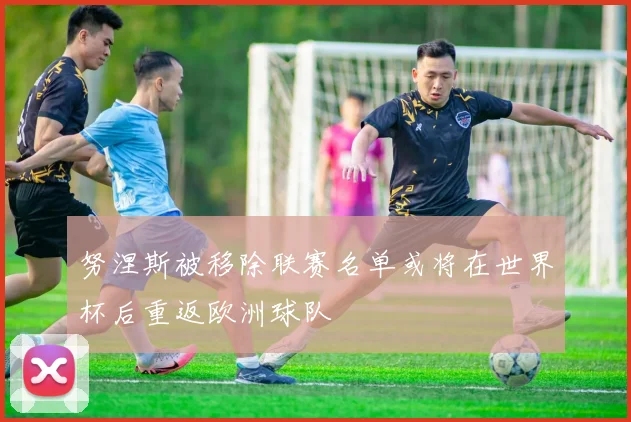 努涅斯被移除联赛名单或将在世界杯后重返欧洲球队