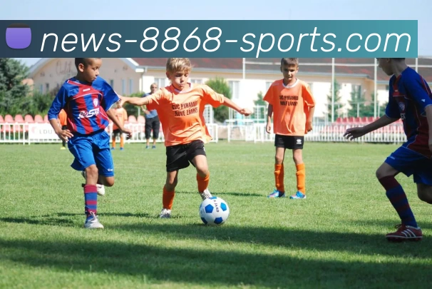 8868体育平台生态图